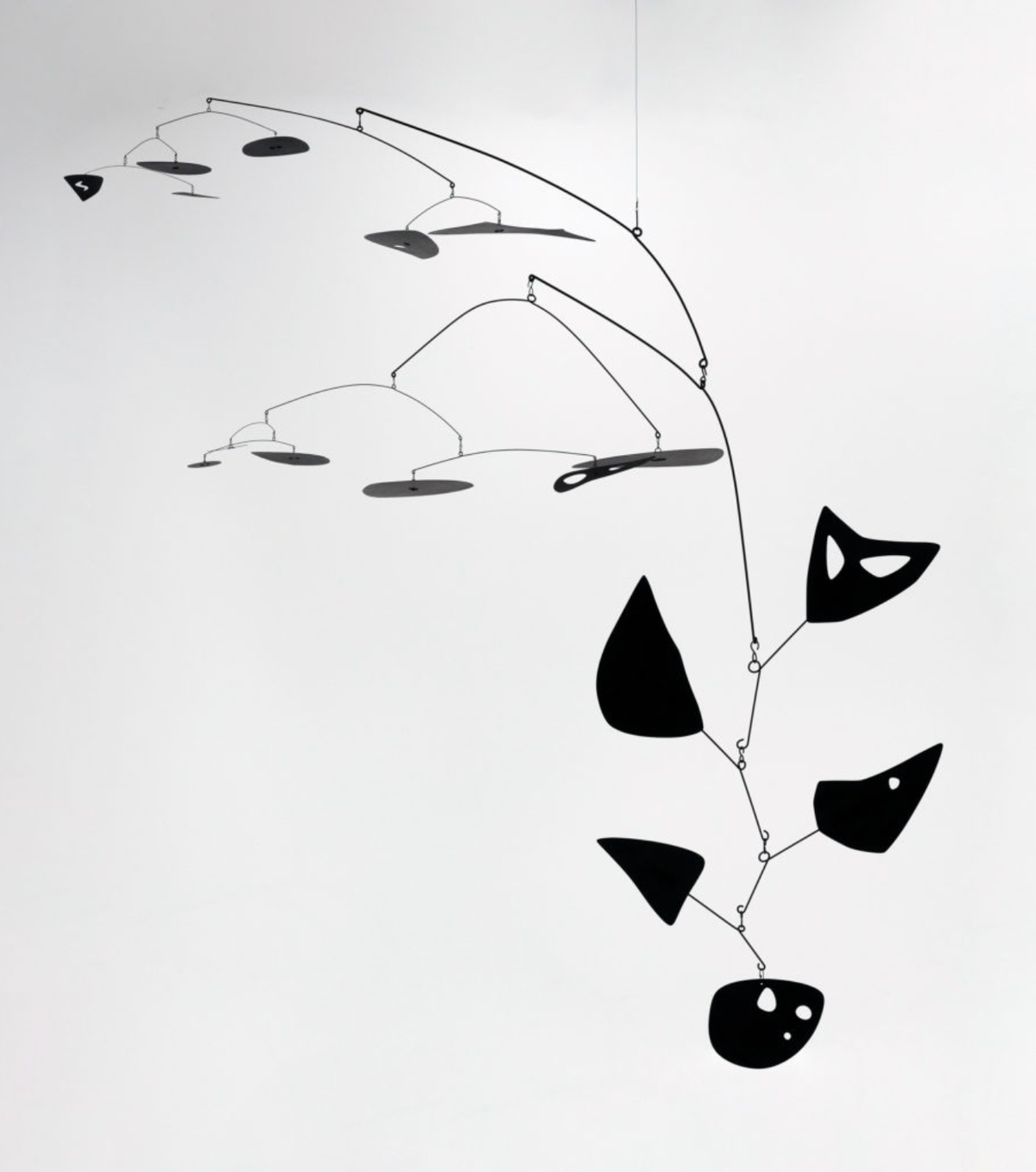 Alexander Calder Brainstorm | "Jacaranda"